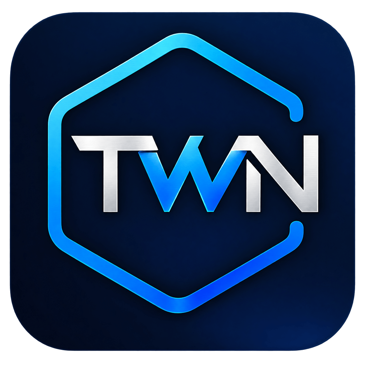 TWN IT Consultancy Logo _ 3d